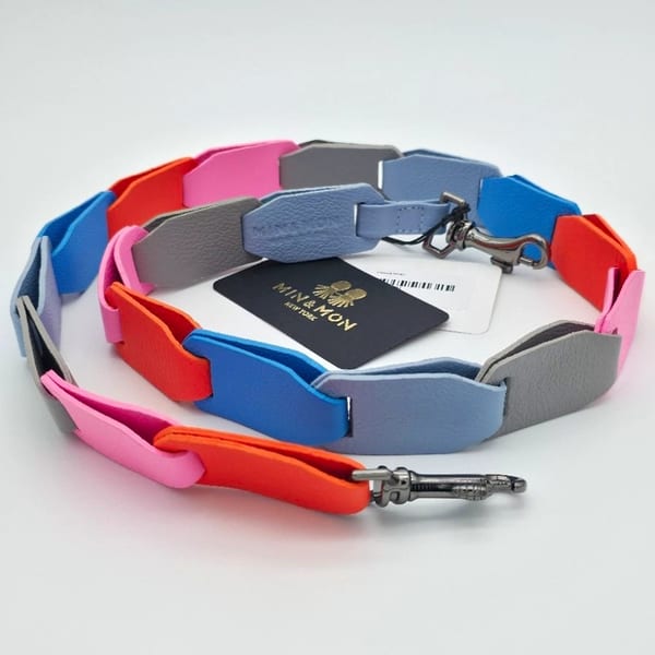 Min & Mon Multicolor Detachable Women’s Bag Shoulder Strap
